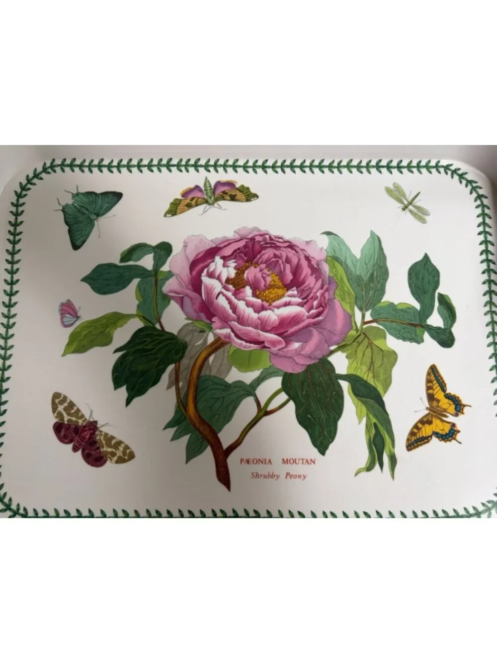 Portmeirion Botanic Garden Melamine, Handled Serving Tray, England